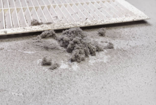 Best Affordable Duct Cleaning Services  in Clinton, OH