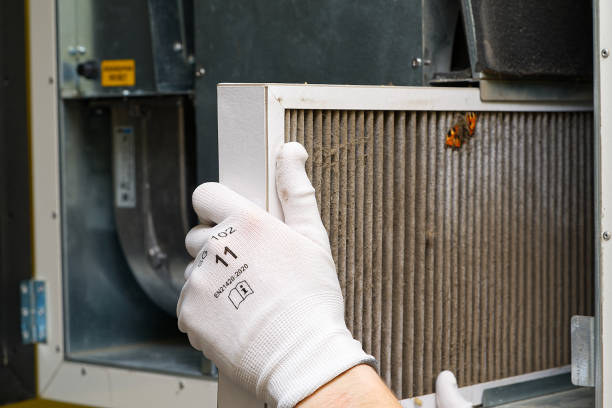 Best Dryer Vent Cleaning Services  in Clinton, OH